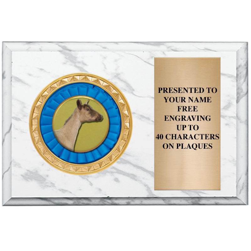 6" X 4" WHITE MBL INSERT PLQ