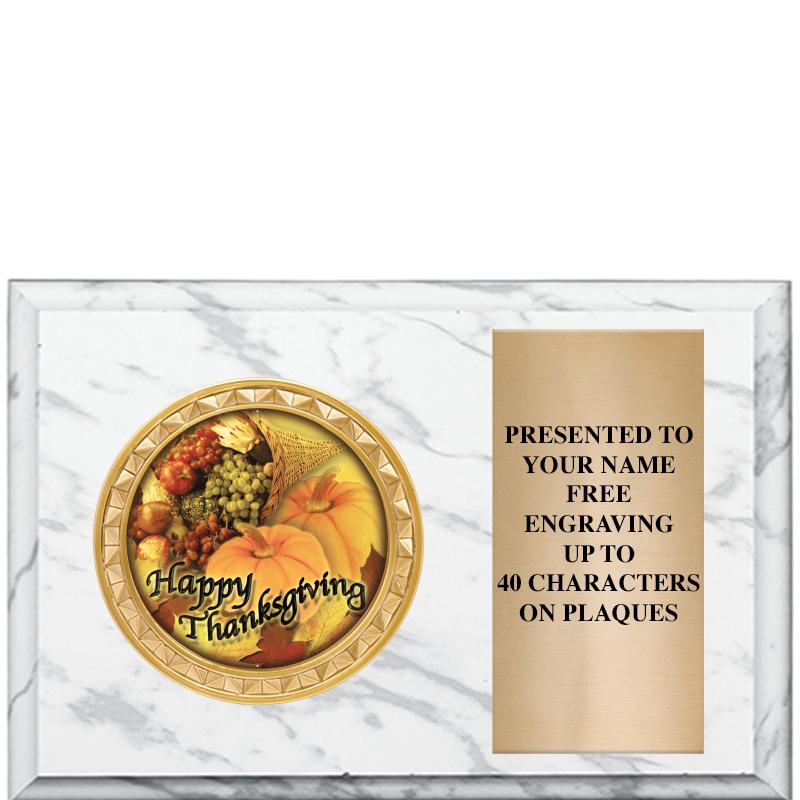 6" X 4" WHITE MBL INSERT PLQ