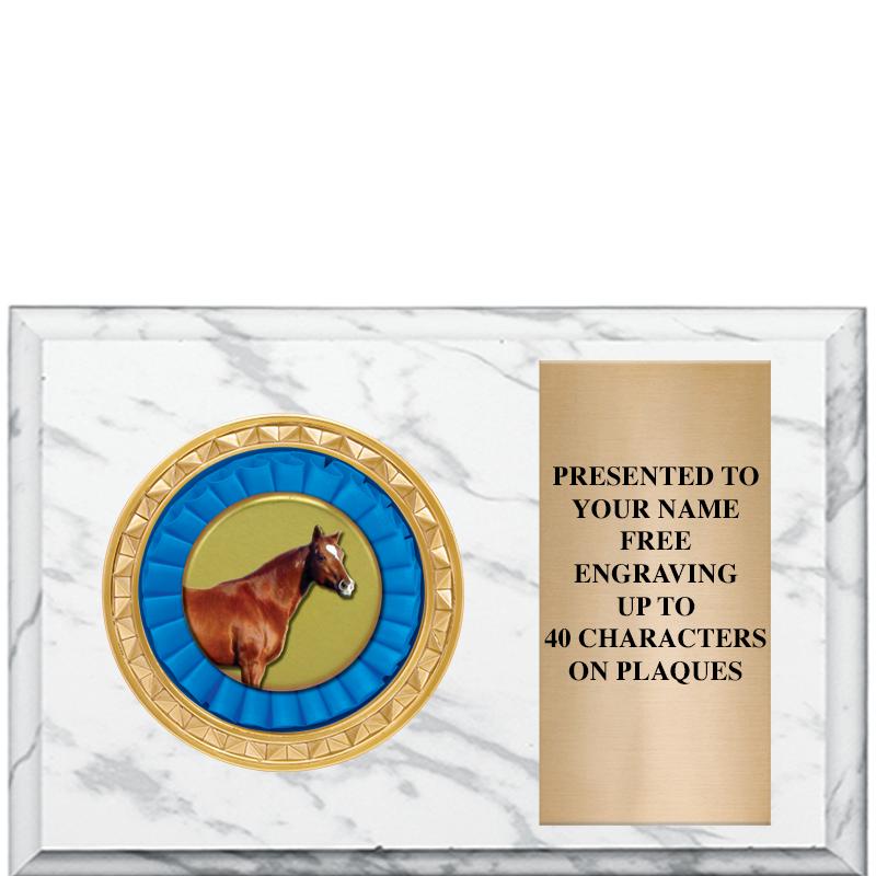 6" X 4" WHITE MBL INSERT PLQ