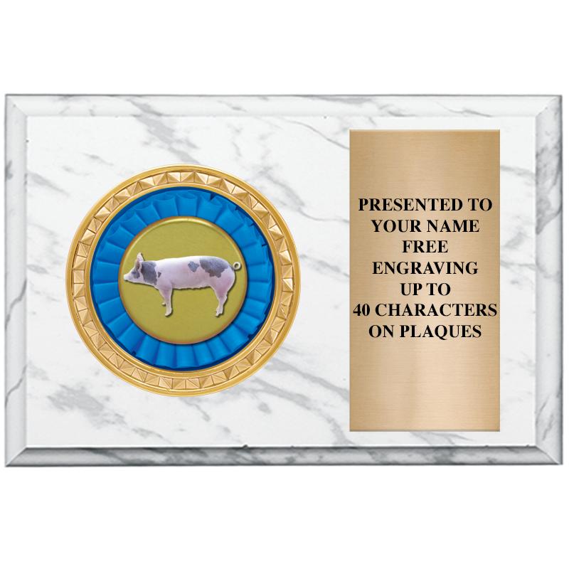 6" X 4" WHITE MBL INSERT PLQ