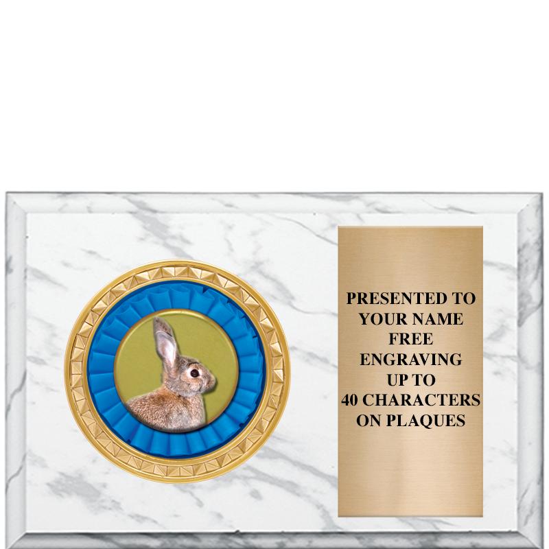 6" X 4" WHITE MBL INSERT PLQ