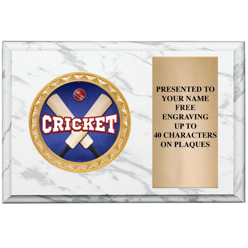 6" X 4" WHITE MBL INSERT PLQ