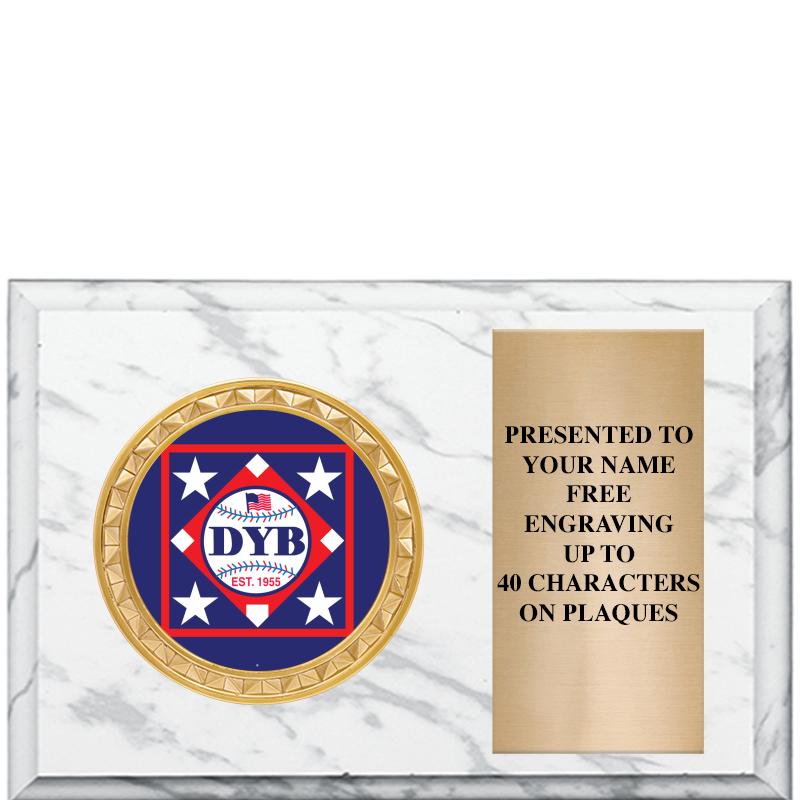 6" X 4" WHITE MBL INSERT PLQ