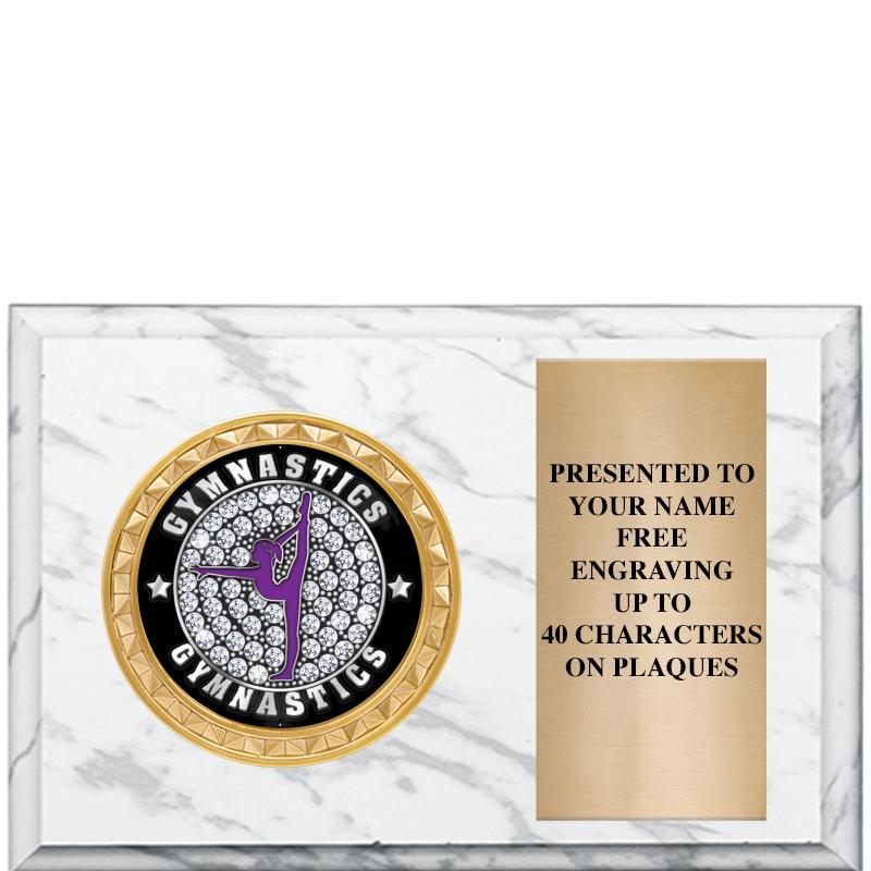 6" X 4" WHITE MBL INSERT PLQ