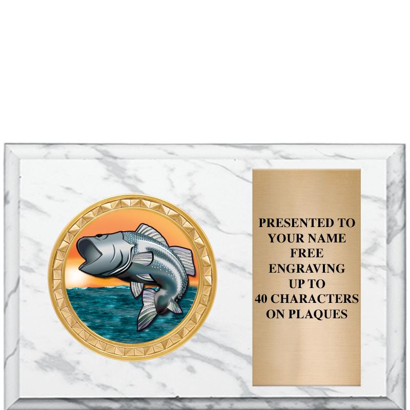 6" X 4" WHITE MBL INSERT PLQ