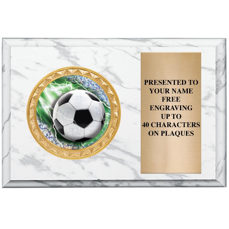 6" X 4" WHITE MBL INSERT PLQ