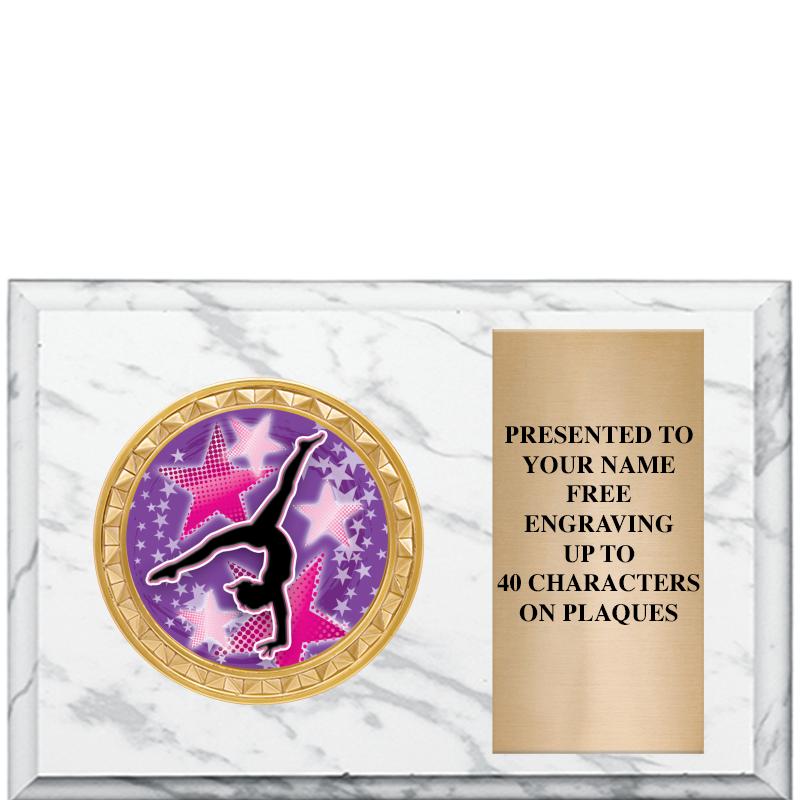 6" X 4" WHITE MBL INSERT PLQ