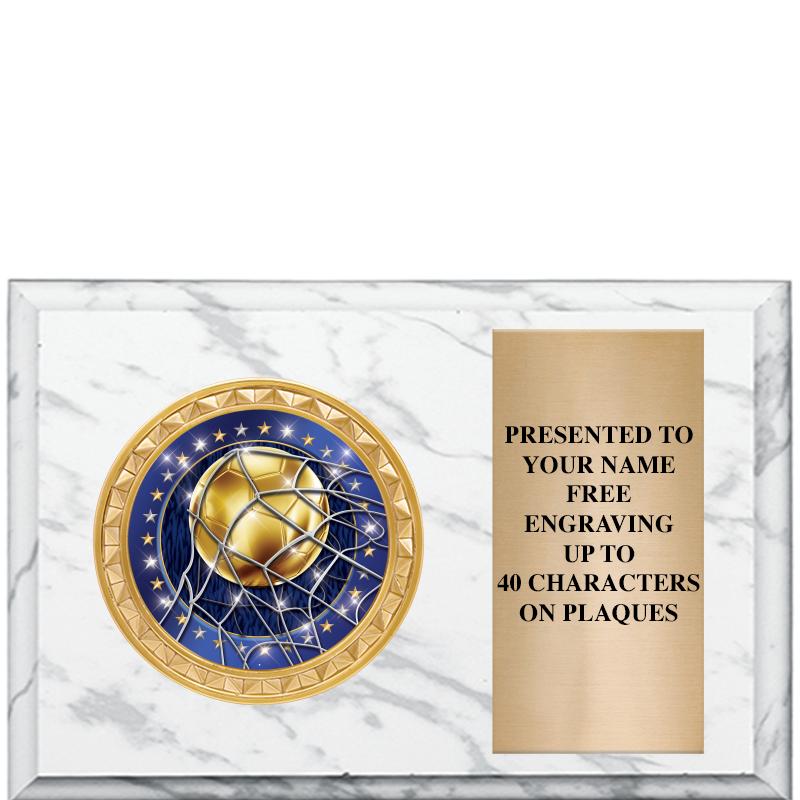 6" X 4" WHITE MBL INSERT PLQ