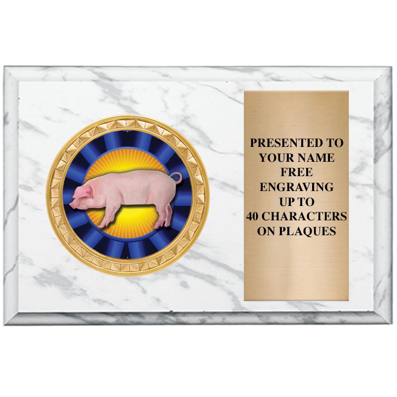 6" X 4" WHITE MBL INSERT PLQ