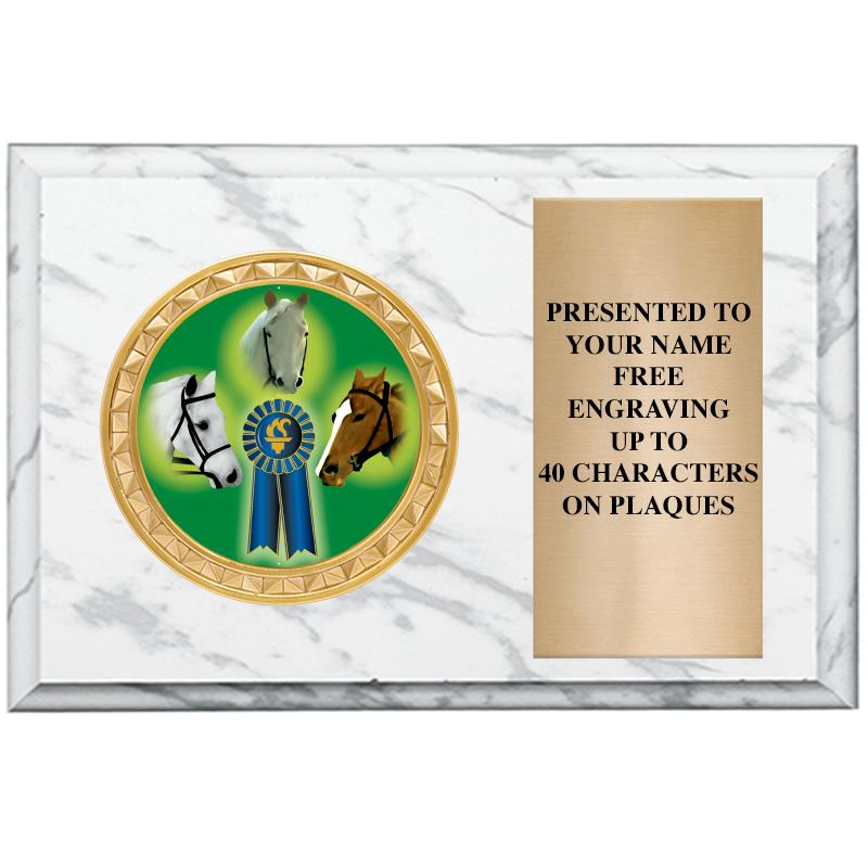 6" X 4" WHITE MBL INSERT PLQ