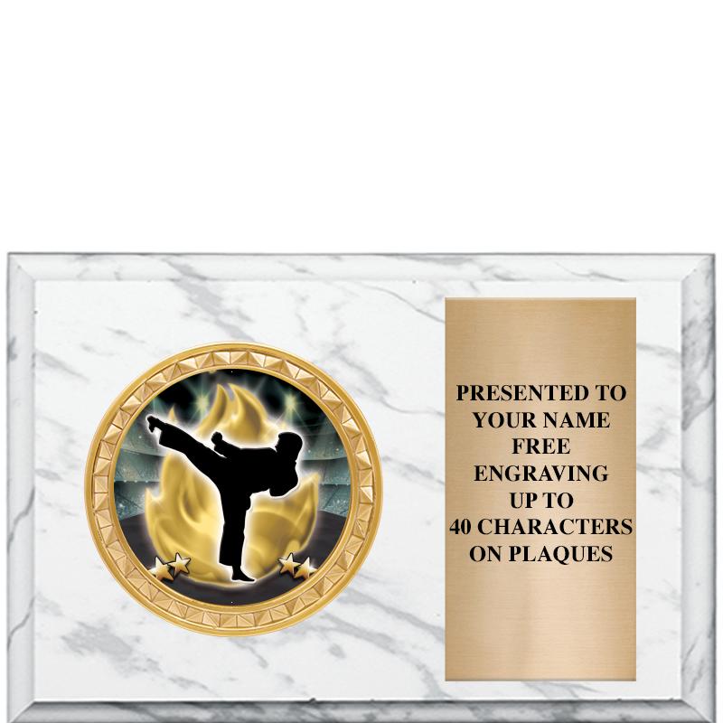 6" X 4" WHITE MBL INSERT PLQ