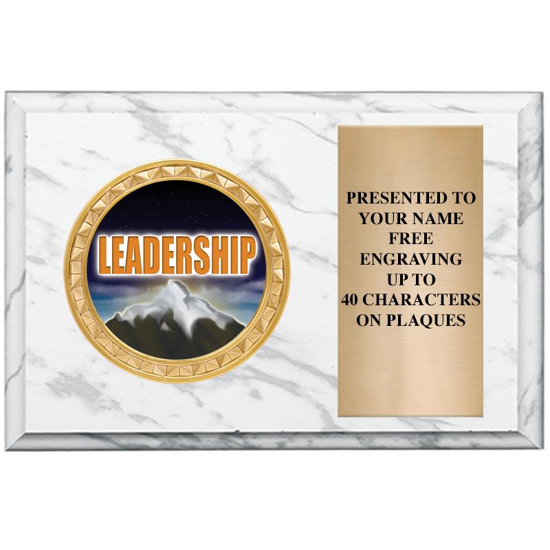 6" X 4" WHITE MBL INSERT PLQ