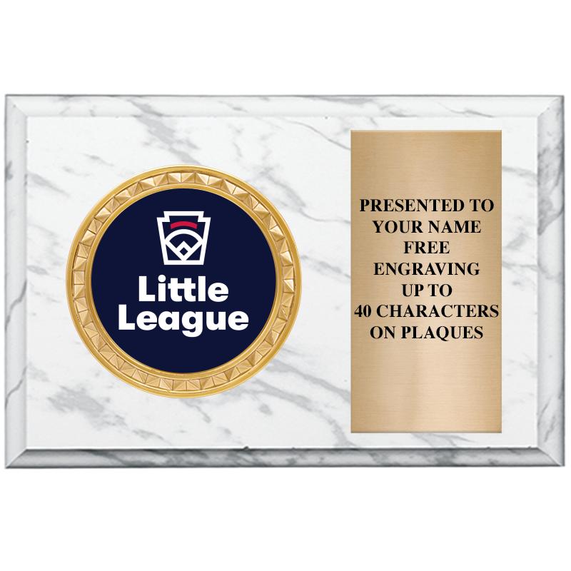 6" X 4" WHITE MBL INSERT PLQ