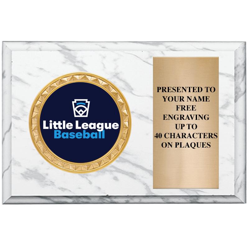 6" X 4" WHITE MBL INSERT PLQ