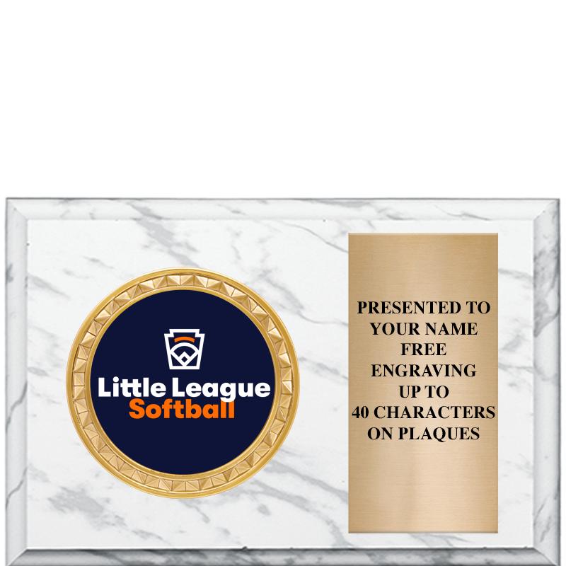 6" X 4" WHITE MBL INSERT PLQ