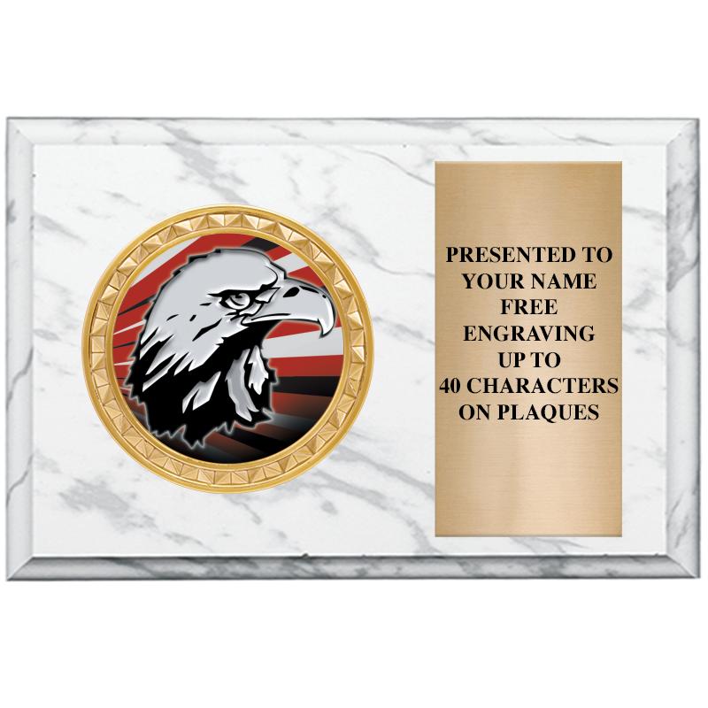 6" X 4" WHITE MBL INSERT PLQ