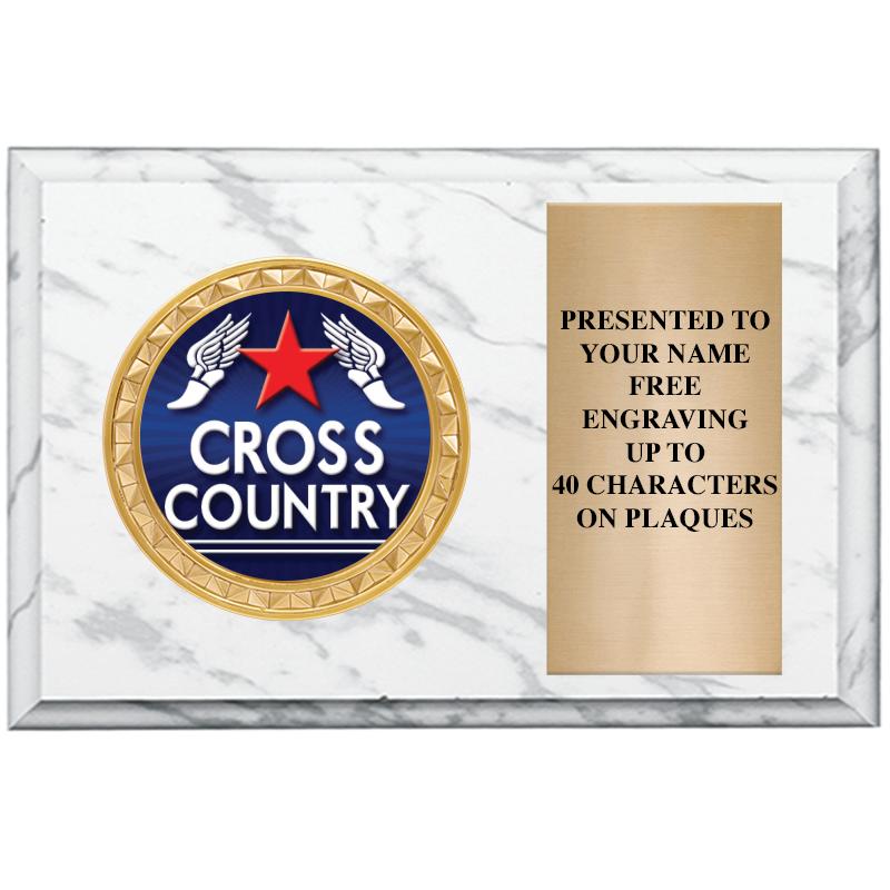 6" X 4" WHITE MBL INSERT PLQ