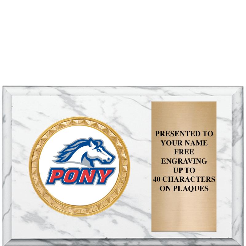 6" X 4" WHITE MBL INSERT PLQ