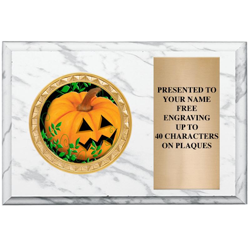 6" X 4" WHITE MBL INSERT PLQ