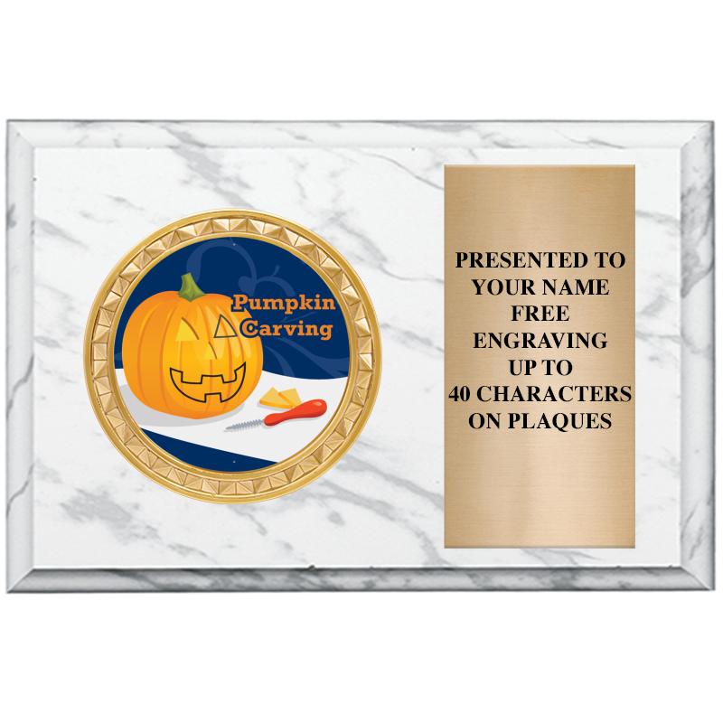 6" X 4" WHITE MBL INSERT PLQ