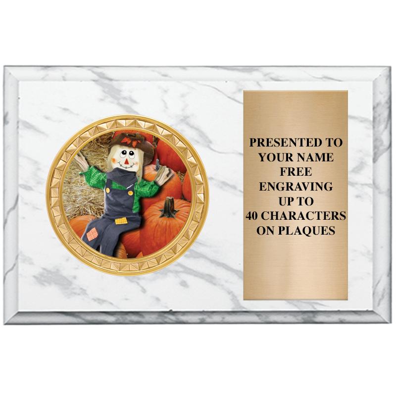 6" X 4" WHITE MBL INSERT PLQ