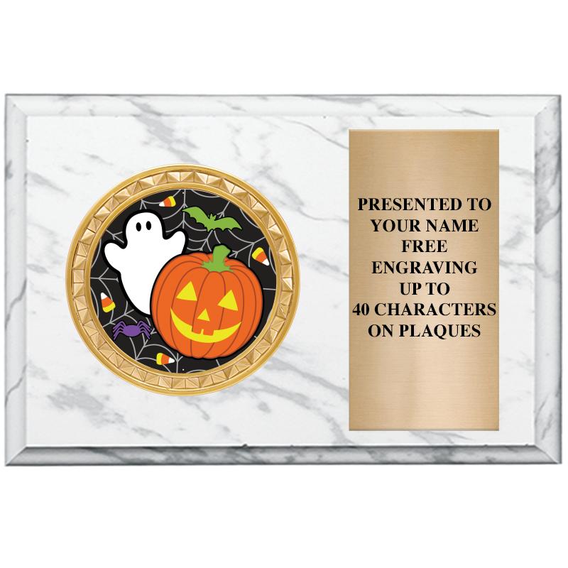 6" X 4" WHITE MBL INSERT PLQ