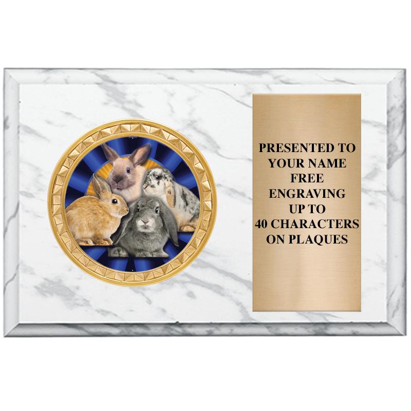 6" X 4" WHITE MBL INSERT PLQ