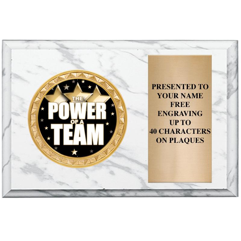 6" X 4" WHITE MBL INSERT PLQ