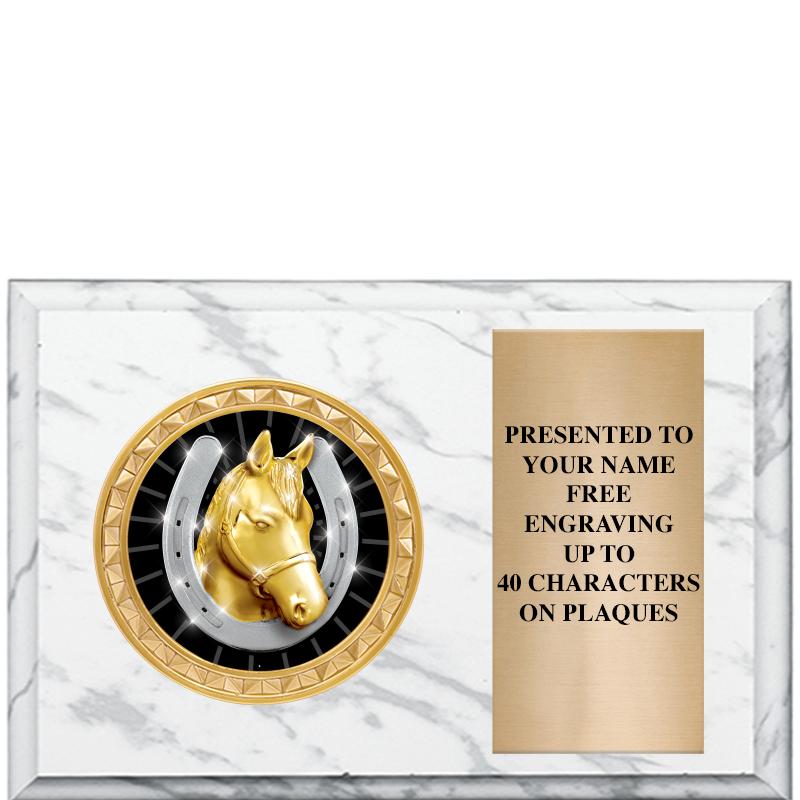 6" X 4" WHITE MBL INSERT PLQ