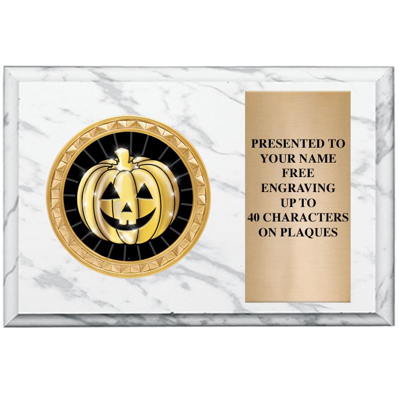 6" X 4" WHITE MBL INSERT PLQ