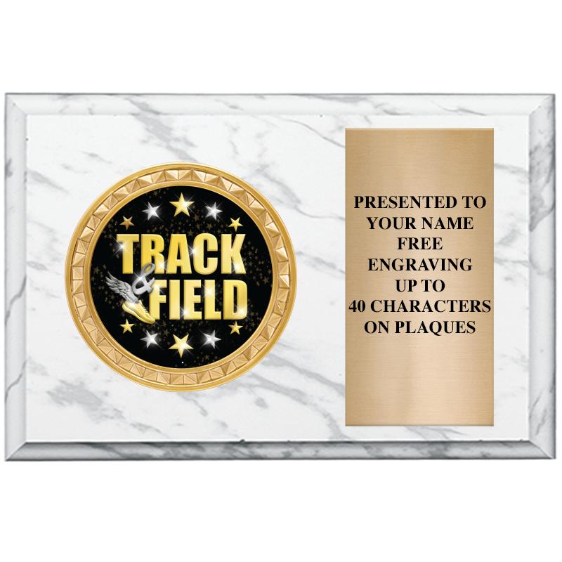 6" X 4" WHITE MBL INSERT PLQ