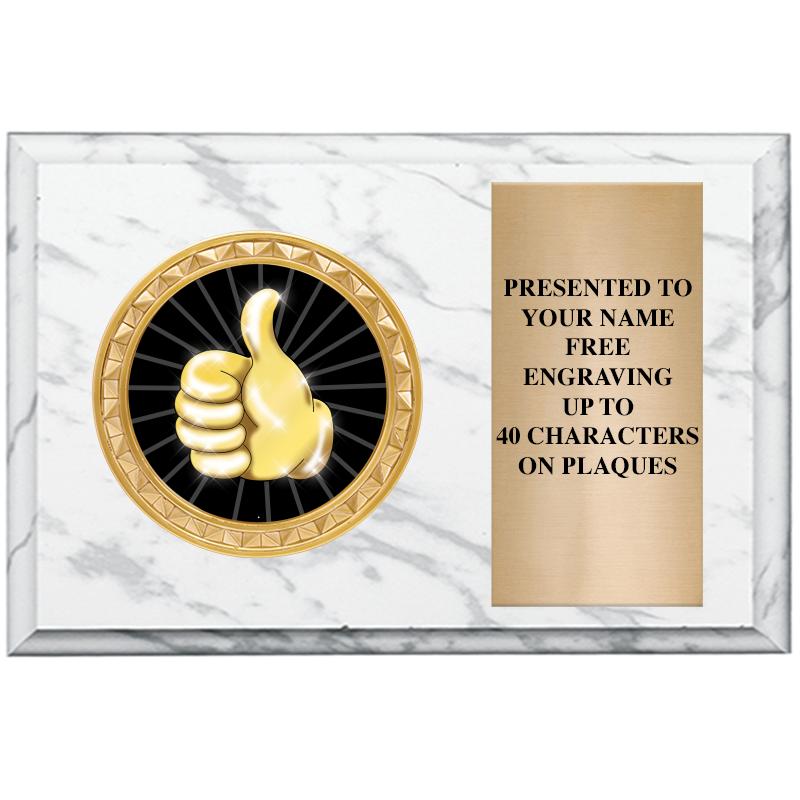 6" X 4" WHITE MBL INSERT PLQ