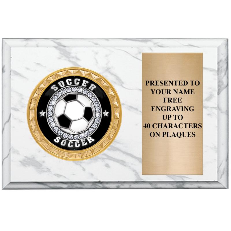 6" X 4" WHITE MBL INSERT PLQ