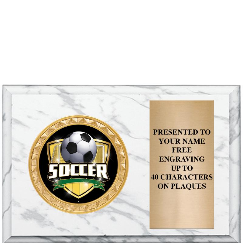 6" X 4" WHITE MBL INSERT PLQ