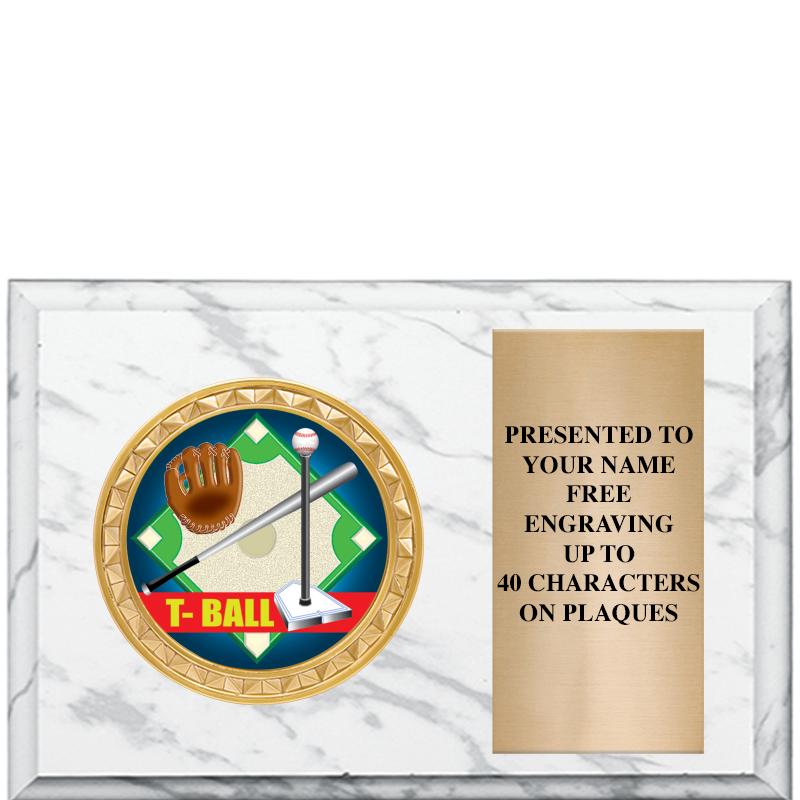 6" X 4" WHITE MBL INSERT PLQ