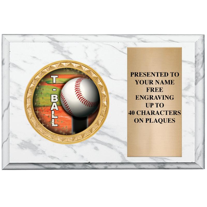 6" X 4" WHITE MBL INSERT PLQ