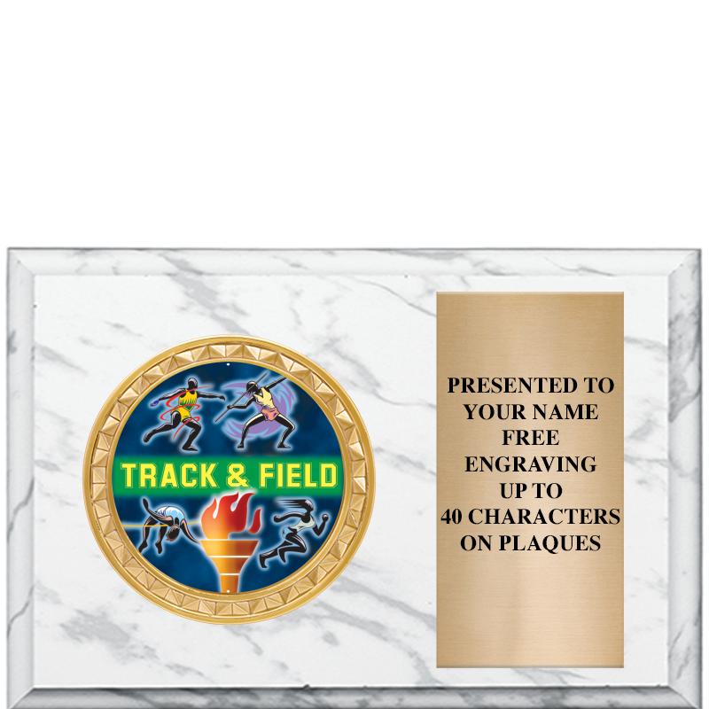 6" X 4" WHITE MBL INSERT PLQ