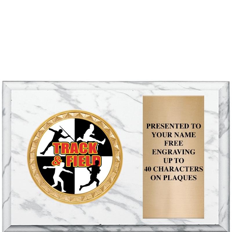 6" X 4" WHITE MBL INSERT PLQ