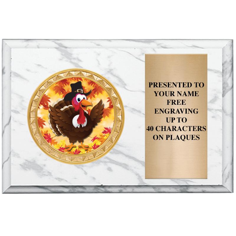 6" X 4" WHITE MBL INSERT PLQ