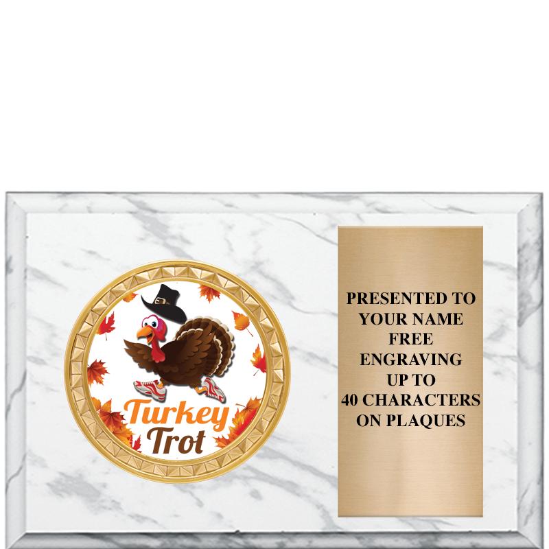 6" X 4" WHITE MBL INSERT PLQ