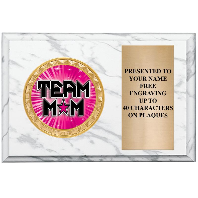 6" X 4" WHITE MBL INSERT PLQ