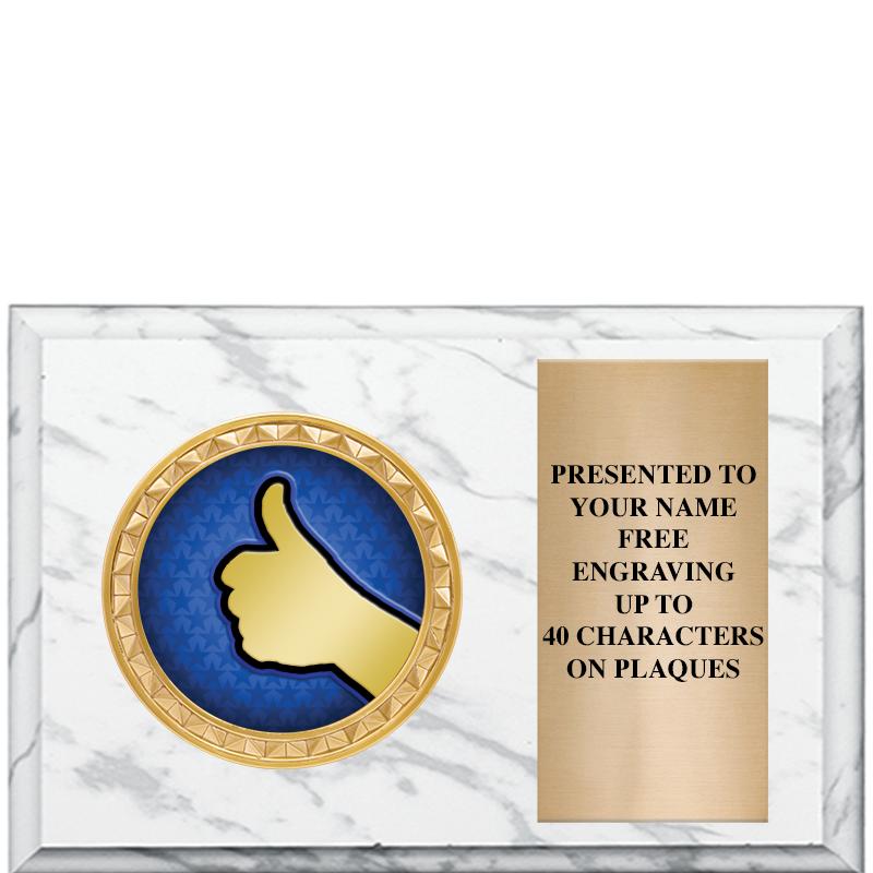 6" X 4" WHITE MBL INSERT PLQ