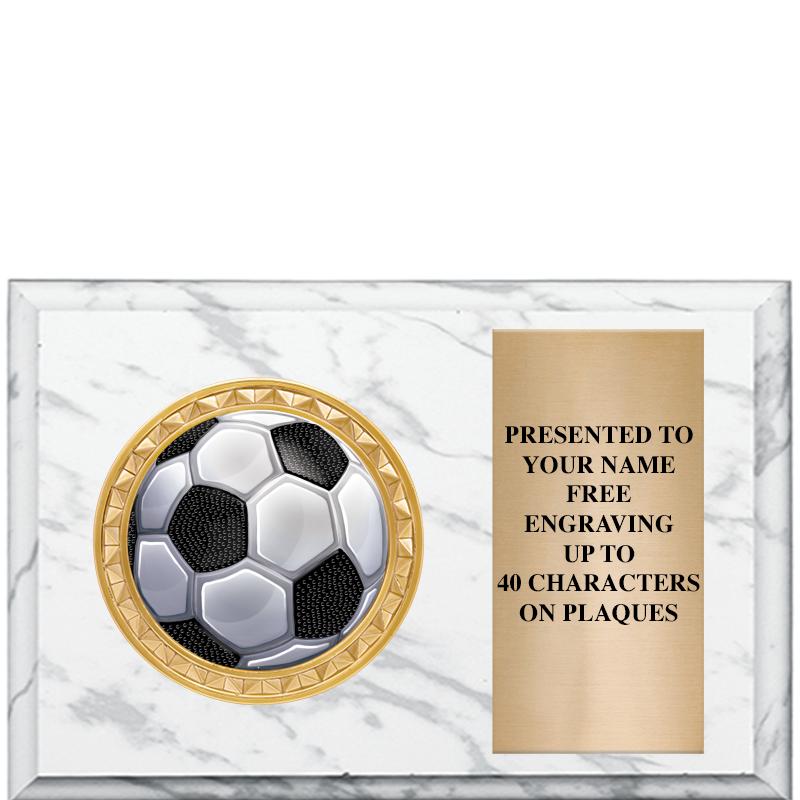 6" X 4" WHITE MBL INSERT PLQ