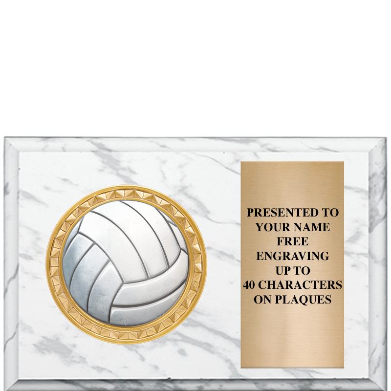 6" X 4" WHITE MBL INSERT PLQ