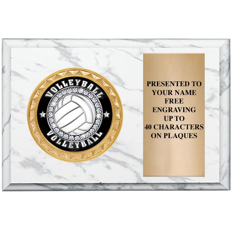 6" X 4" WHITE MBL INSERT PLQ