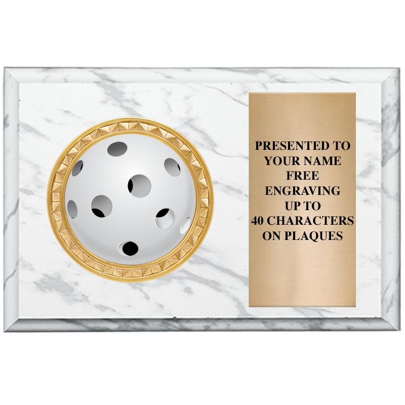 6" X 4" WHITE MBL INSERT PLQ