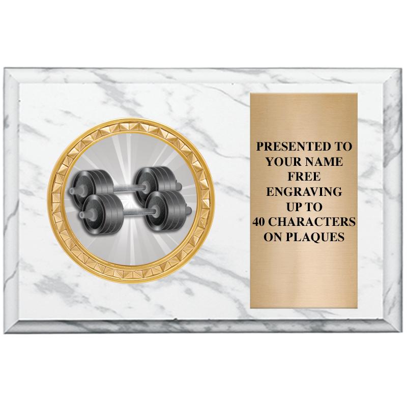 6" X 4" WHITE MBL INSERT PLQ