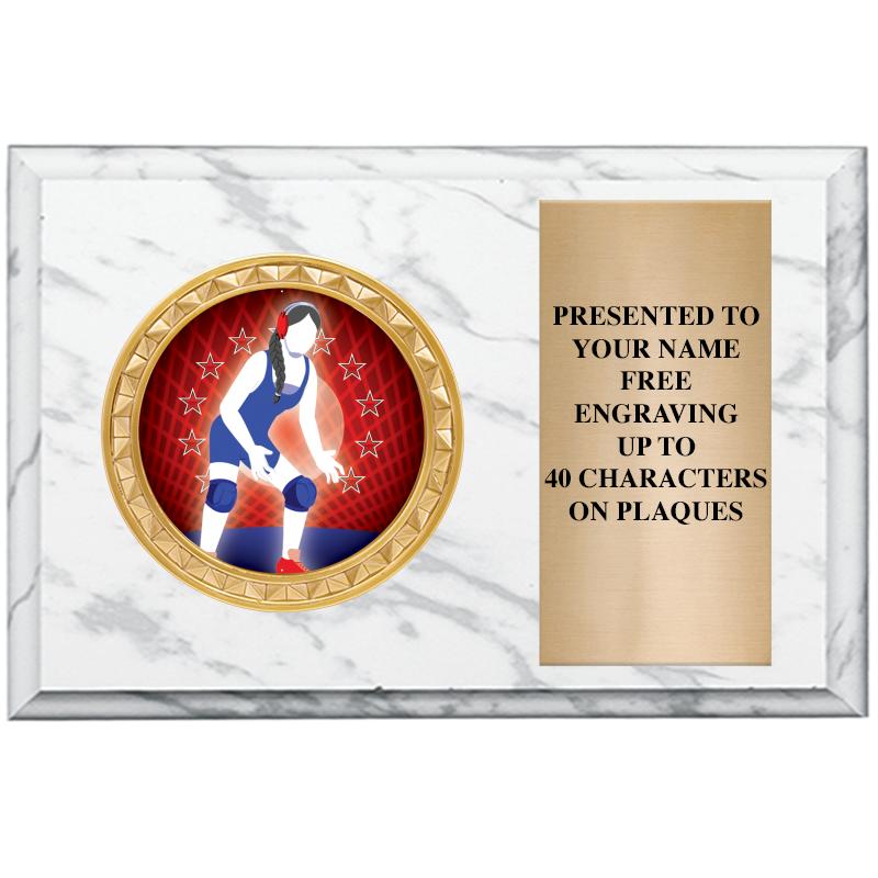 6" X 4" WHITE MBL INSERT PLQ