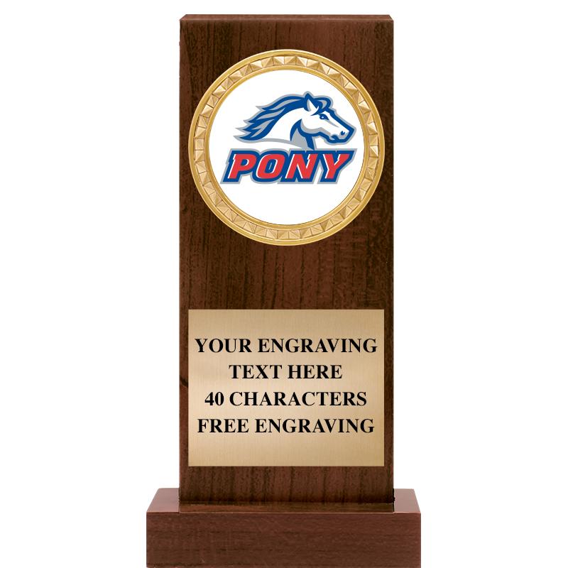 7" SIERRA INSERT AWARD