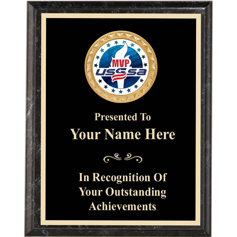 6X8 USSSA BK EXECUTVE INSRT PQ